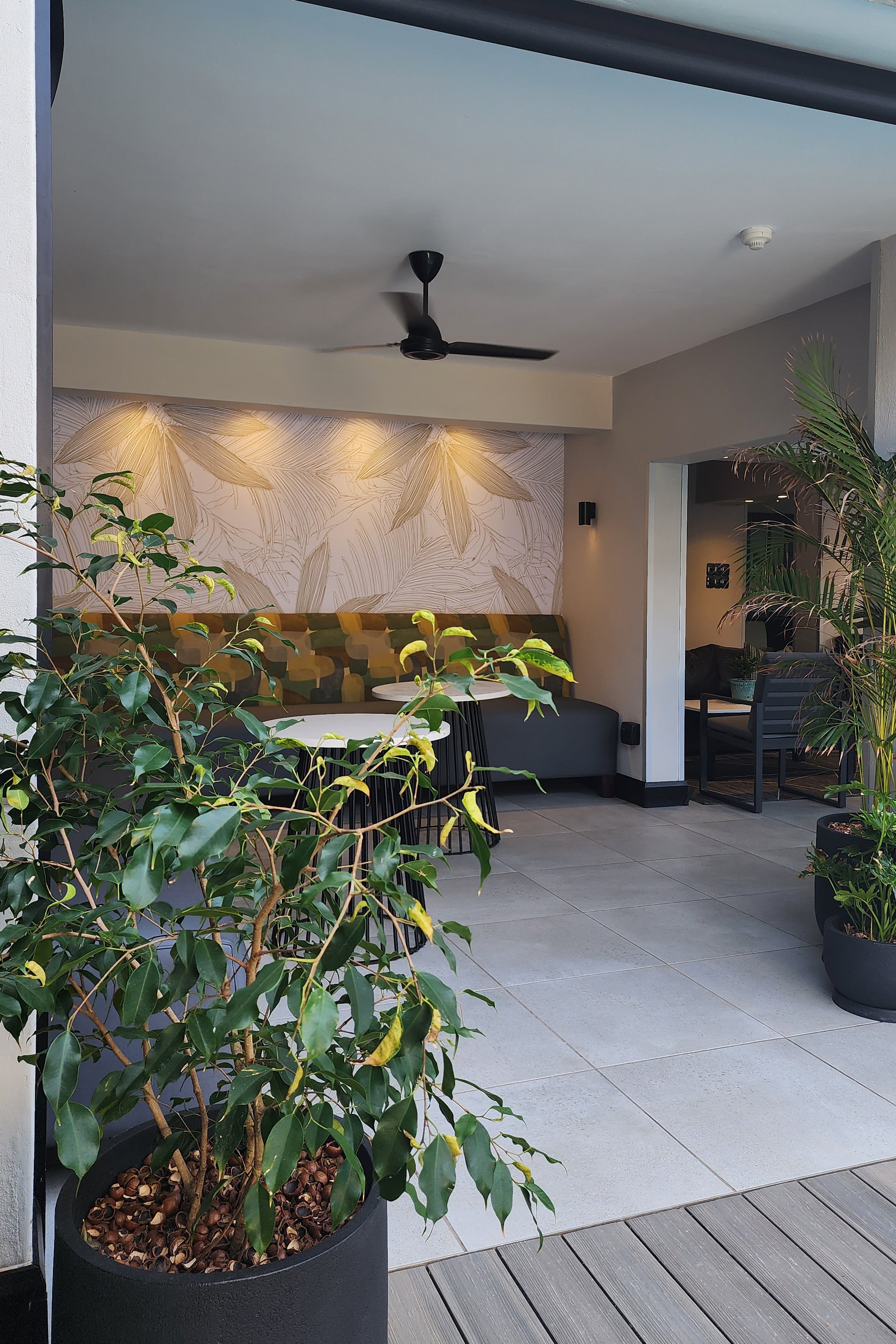 The Bonsai Lounge